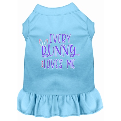 Every Bunny Loves me Screen Print Dog Dress Baby Blue 4X (22)