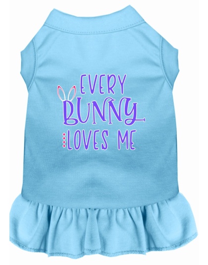 Every Bunny Loves me Screen Print Dog Dress Baby Blue 4X (22)