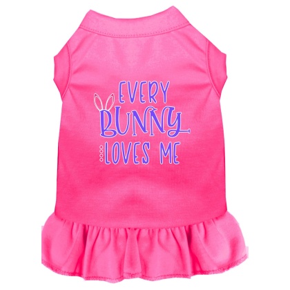 Every Bunny Loves me Screen Print Dog Dress Bright Pink 4X (22)
