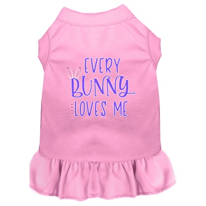 Every Bunny Loves me Screen Print Dog Dress Light Pink 4X (22)