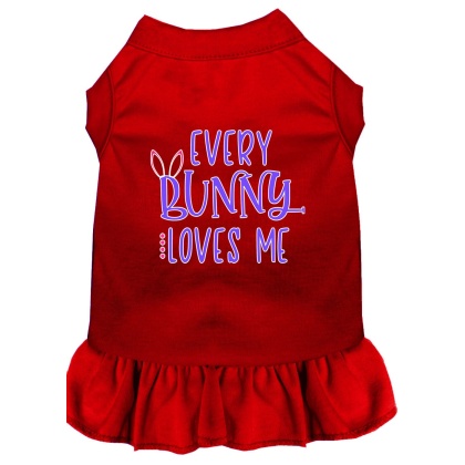 Every Bunny Loves me Screen Print Dog Dress Red 4X (22)