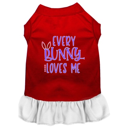 Every Bunny Loves me Screen Print Dog Dress Red with White Lg