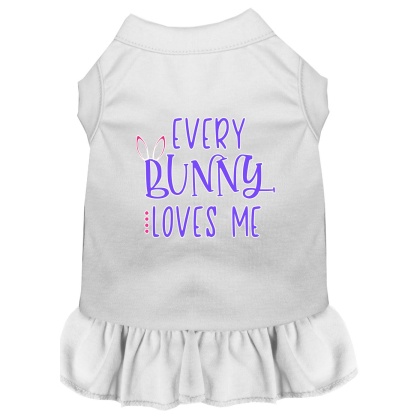 Every Bunny Loves me Screen Print Dog Dress White 4X (22)