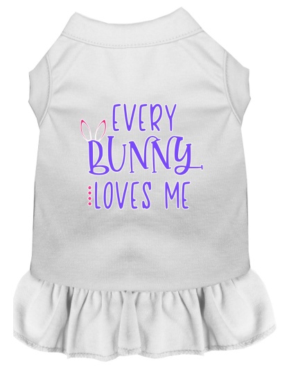 Every Bunny Loves me Screen Print Dog Dress White 4X (22)