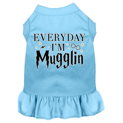 Everyday I'm Mugglin Screen Print Dog Dress Baby Blue 4X (22)