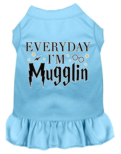 Everyday I'm Mugglin Screen Print Dog Dress Baby Blue 4X (22)