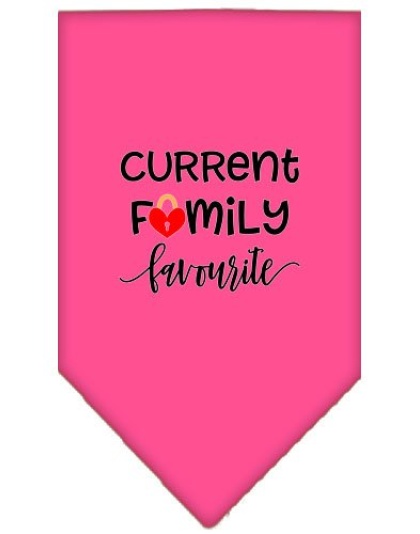 Family Favorite Screen Print Bandana Bright Pink Large