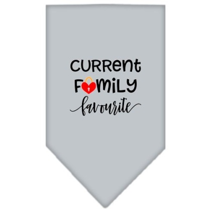 Family Favorite Screen Print Bandana Grey Large