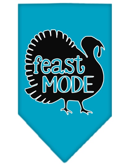 Feast Mode Screen Print Bandana Turquoise Large