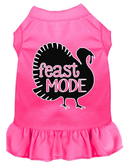 Feast Mode Screen Print Dog Dress Bright Pink 4X