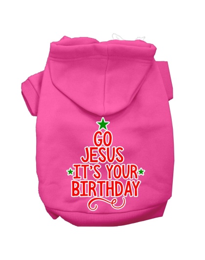 Go Jesus Screen Print Dog Hoodie Bright Pink L