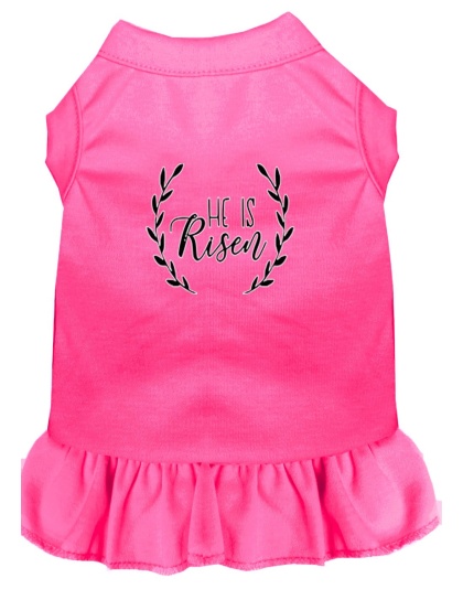 He Is Risen Screen Print Dog Dress Bright Pink 4X (22)