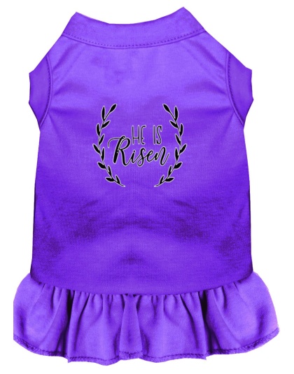 He Is Risen Screen Print Dog Dress Purple 4X (22)