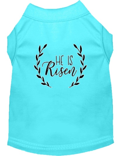 He Is Risen Screen Print Dog Shirt Aqua Lg