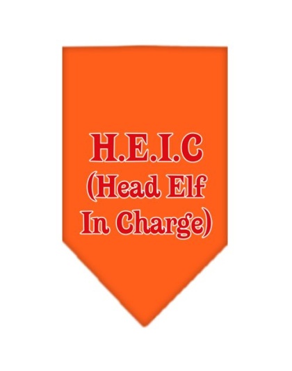 Head elf In Charge Screen Print Bandana Orange Large