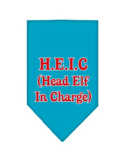 Head elf In Charge Screen Print Bandana Turquoise Large