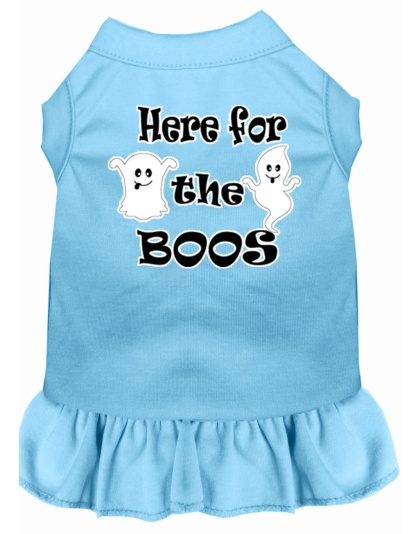 Here for the Boos Screen Print Dog Dress Baby Blue 4X (22)