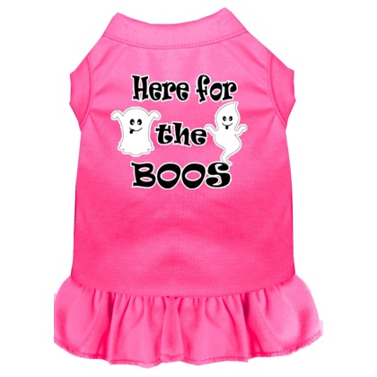 Here for the Boos Screen Print Dog Dress Bright Pink 4X (22)