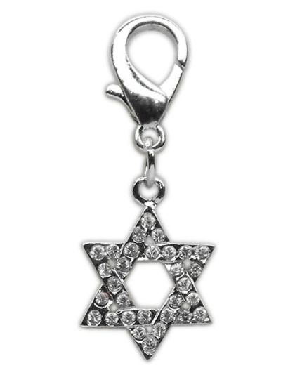 Holiday lobster claw charms / zipper pulls Star of David