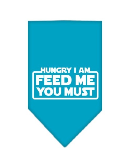 Hungry I Am Screen Print Bandana Turquoise Large