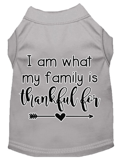 I Am What My Family is Thankful For Screen Print Dog Shirt Grey Lg