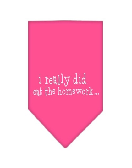 I really did eat the Homework Screen Print Bandana Bright Pink Large