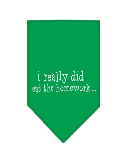 I really did eat the Homework Screen Print Bandana Emerald Green Large