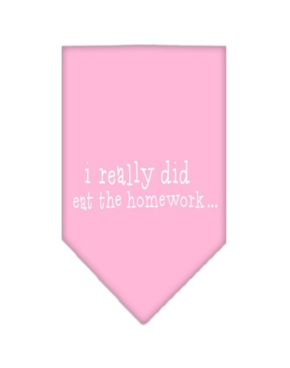 I really did eat the Homework Screen Print Bandana Light Pink Large