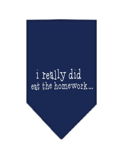 I really did eat the Homework Screen Print Bandana Navy Blue large