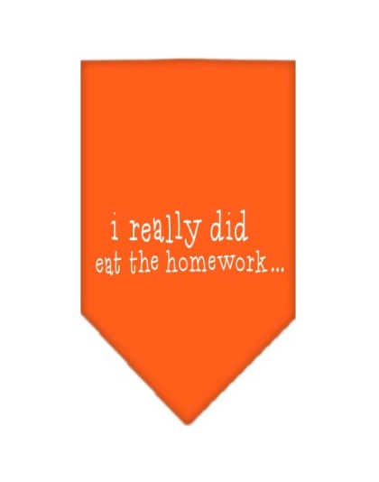 I really did eat the Homework Screen Print Bandana Orange Large
