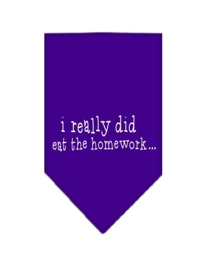 I really did eat the Homework Screen Print Bandana Purple Large