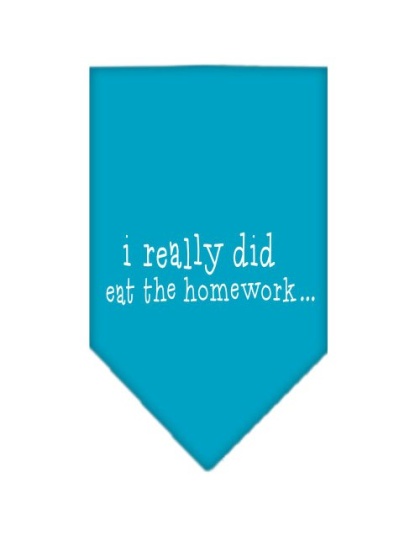 I really did eat the Homework Screen Print Bandana Turquoise Large