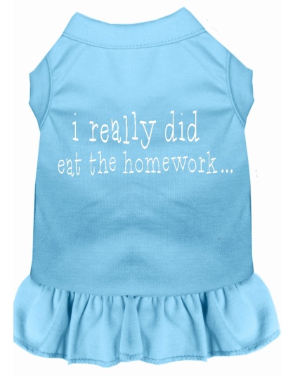 I really did eat the Homework Screen Print Dress Baby Blue 4X (22)