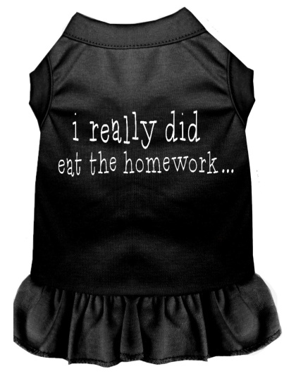 I really did eat the Homework Screen Print Dress Black 4X (22)