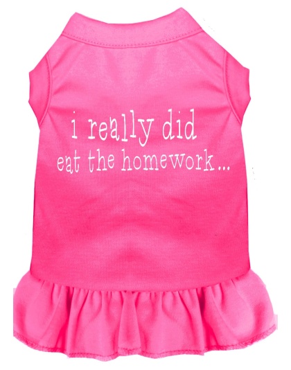 I really did eat the Homework Screen Print Dress Bright Pink 4X (22)