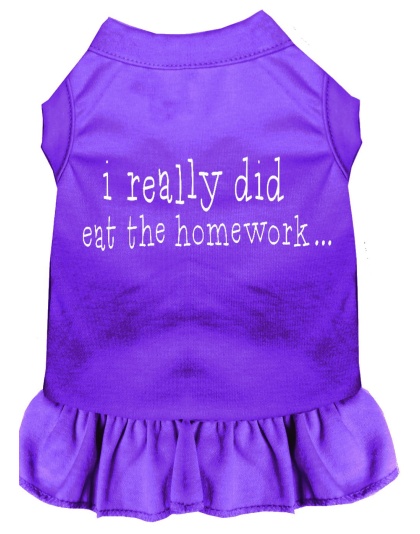 I really did eat the Homework Screen Print Dress Purple 4X (22)