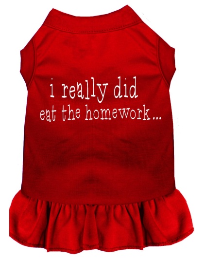 I really did eat the Homework Screen Print Dress Red 4X (22)