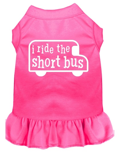 I ride the short bus Screen Print Dress Bright Pink 4X (22)