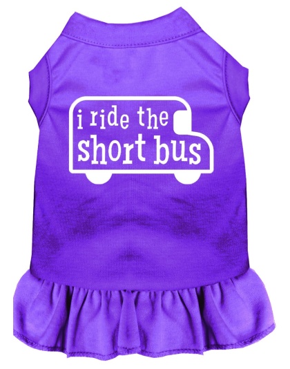 I ride the short bus Screen Print Dress Purple 4X (22)