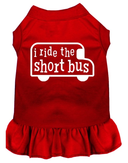 I ride the short bus Screen Print Dress Red 4X (22)