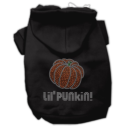 Lil' Punkin' Hoodies Black L