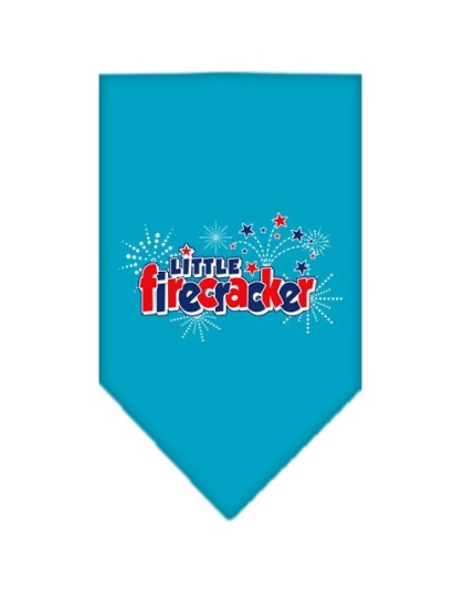 Little Firecracker Screen Print Bandana Turquoise Large