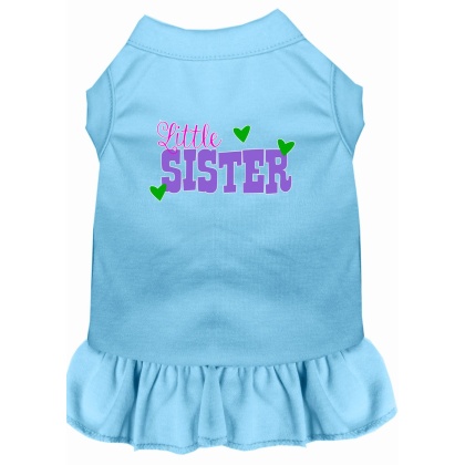 Little Sister Screen Print Dog Dress Baby Blue 4X