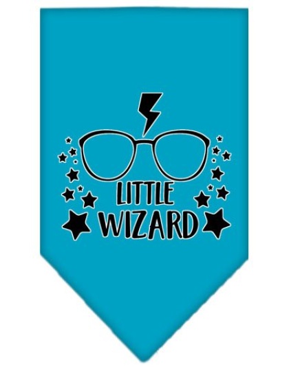 Little Wizard Screen Print Bandana Turquoise Large