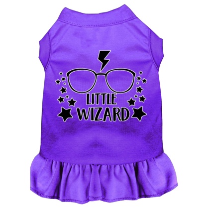 Little Wizard Screen Print Dog Dress Purple 4X (22)