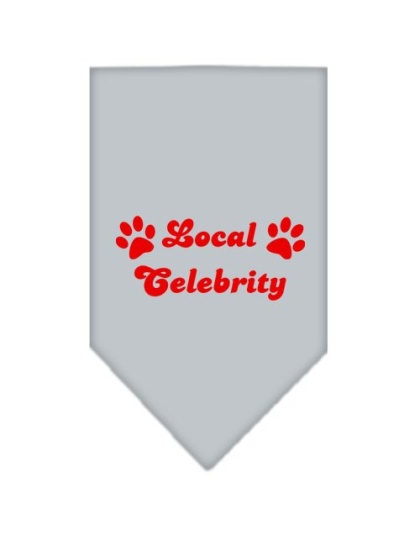 Local Celebrity Screen Print Bandana Grey Large