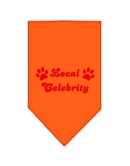 Local Celebrity Screen Print Bandana Orange Large