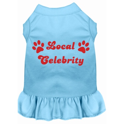 Local Celebrity Screen Print Dress Baby Blue 4X (22)