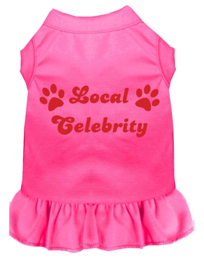 Local Celebrity Screen Print Dress Bright Pink 4X (22)