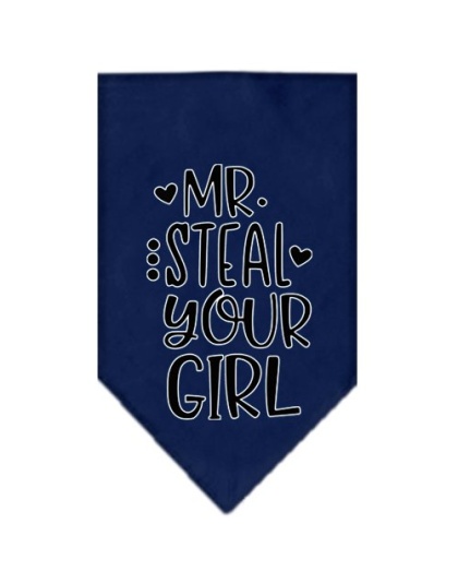 Mr Steal Your Girl Screen Print Bandana Navy Blue large